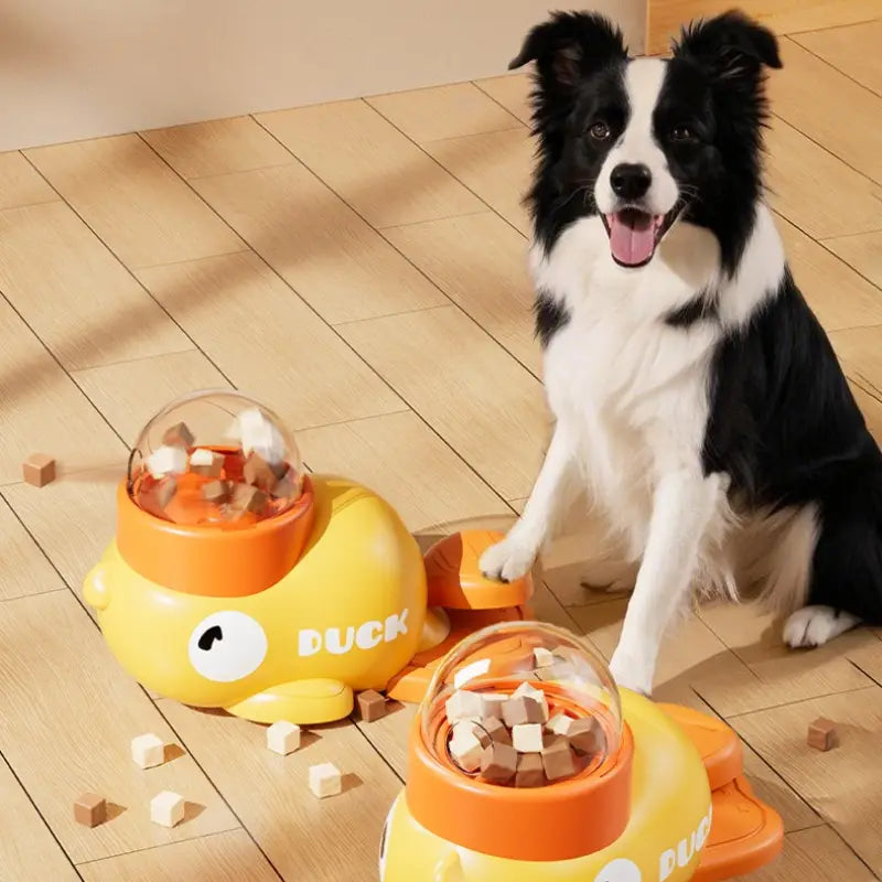 NUCKSY Treat Dispenser
